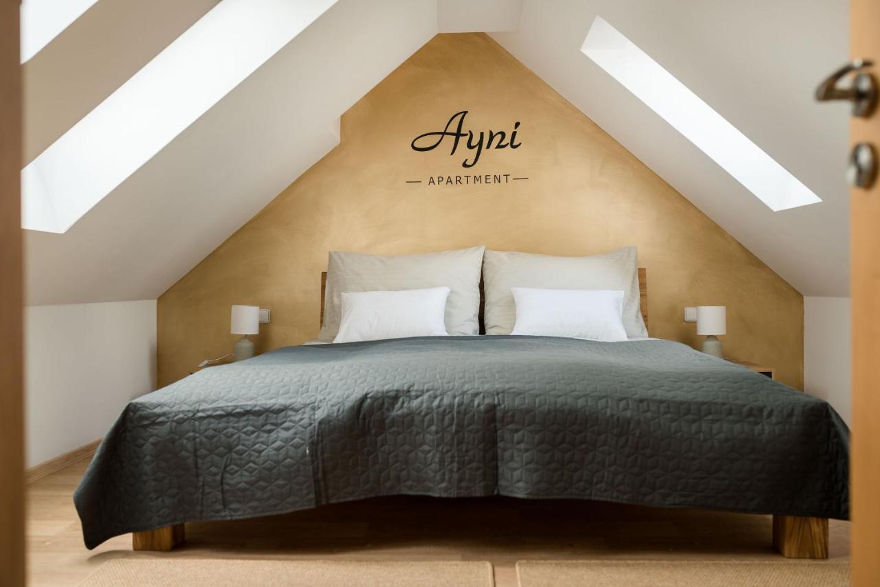 Ayni Apartman سيميلي المظهر الخارجي الصورة