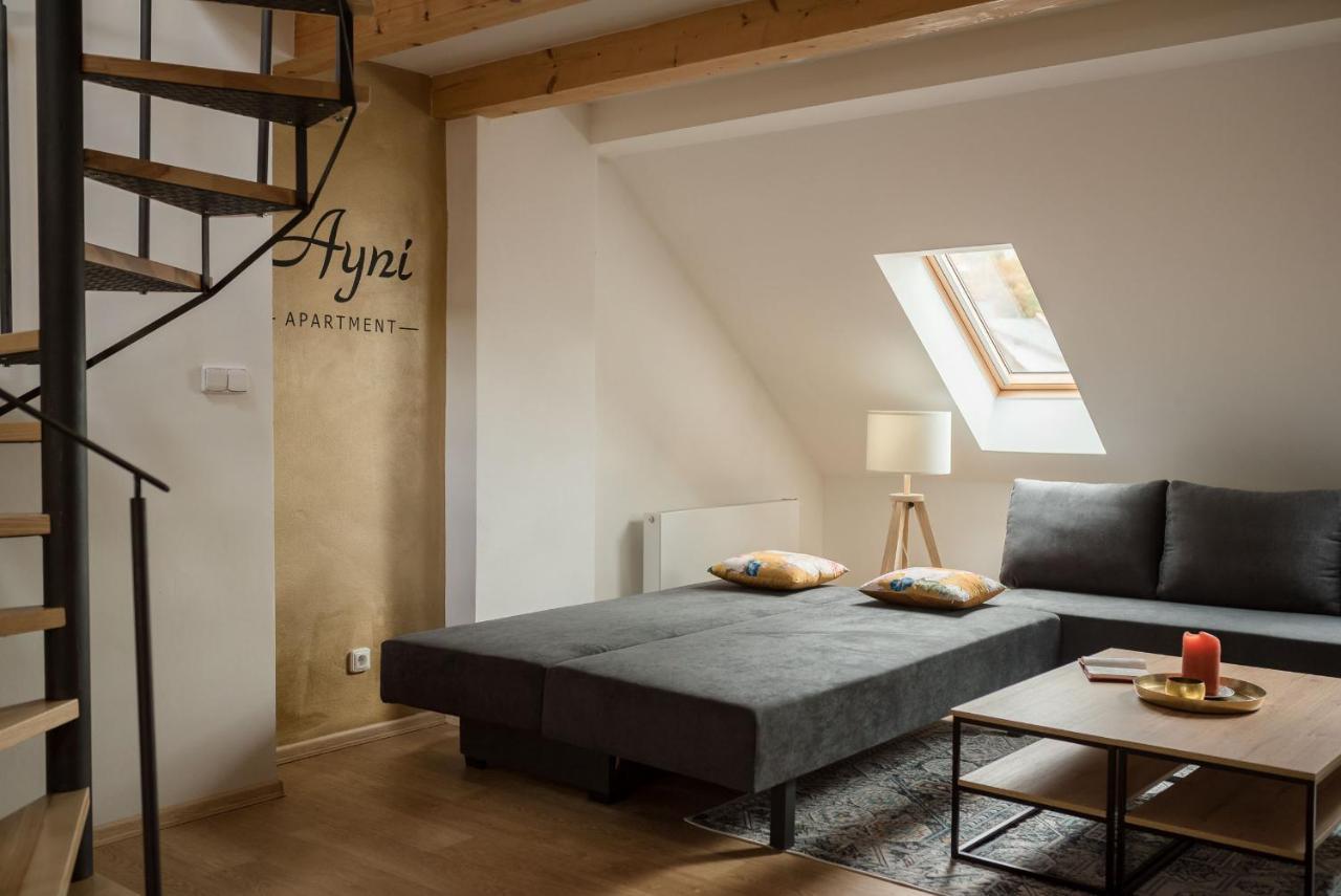 Ayni Apartman سيميلي المظهر الخارجي الصورة