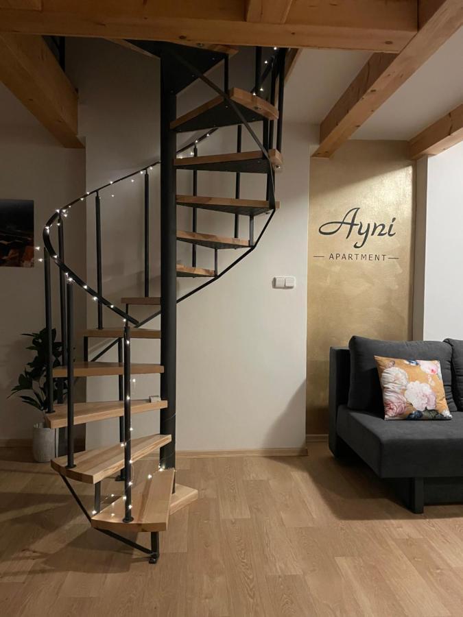 Ayni Apartman سيميلي المظهر الخارجي الصورة